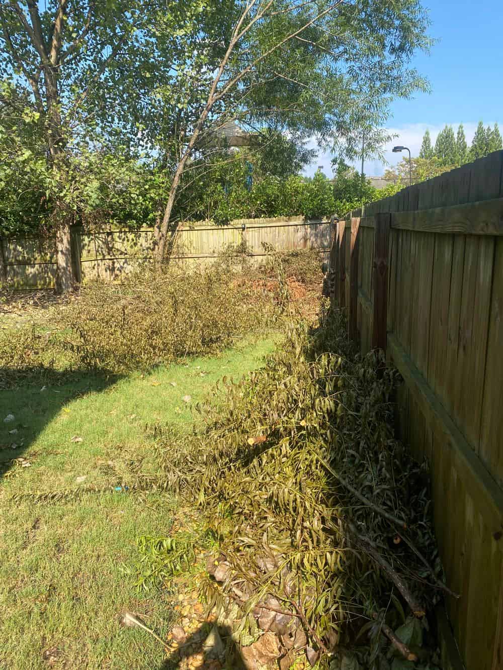 Yard Debris Removal image