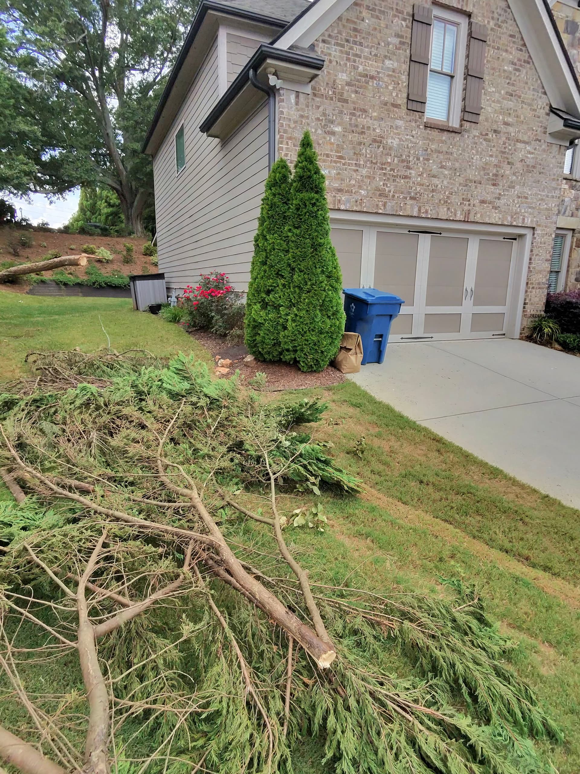 Gallery photos for Same-Day Tree Debris Pickup in Hoschton: Image #1