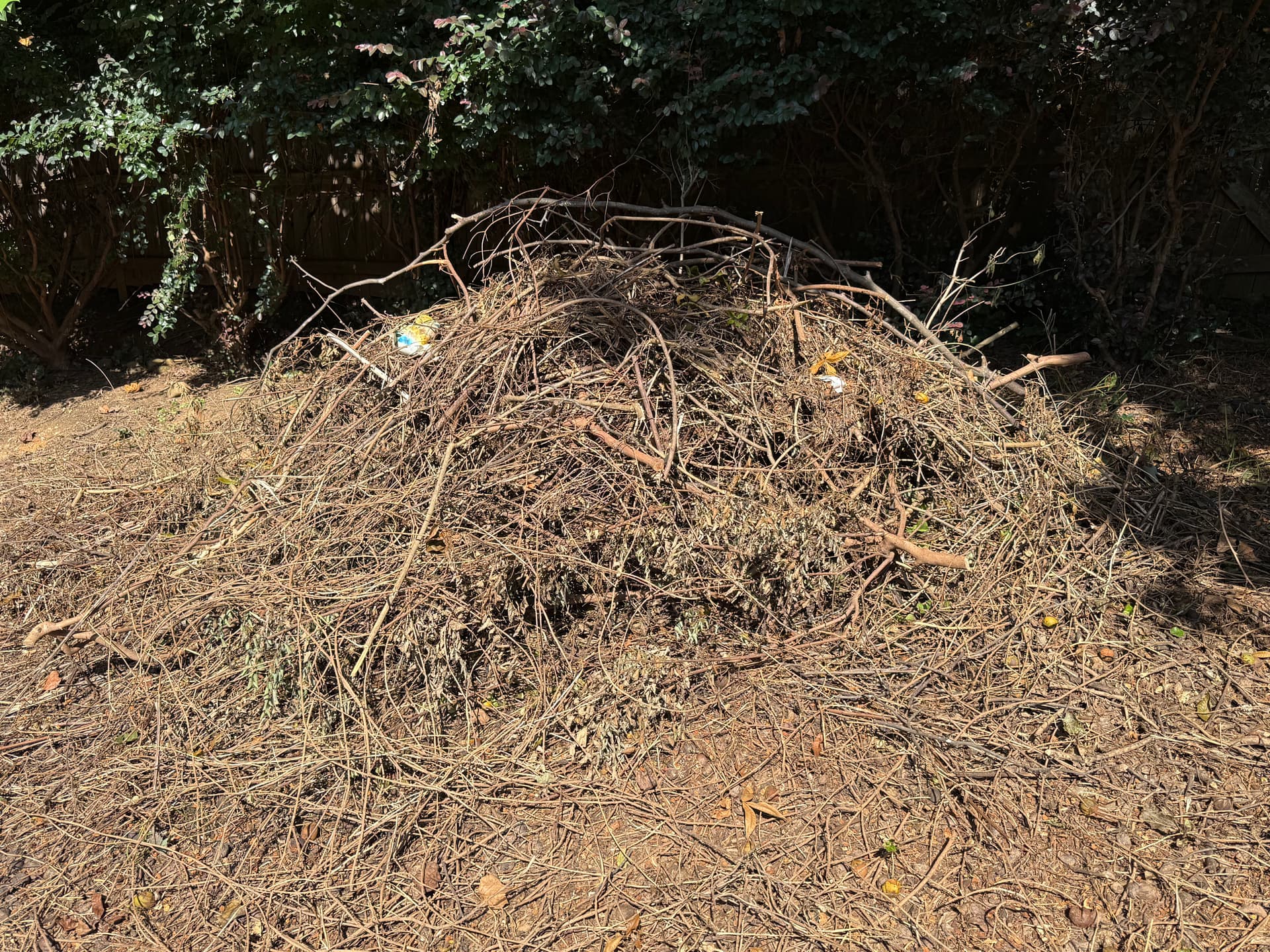 Backyard Brush and Branch Cleanup in Hoschton image