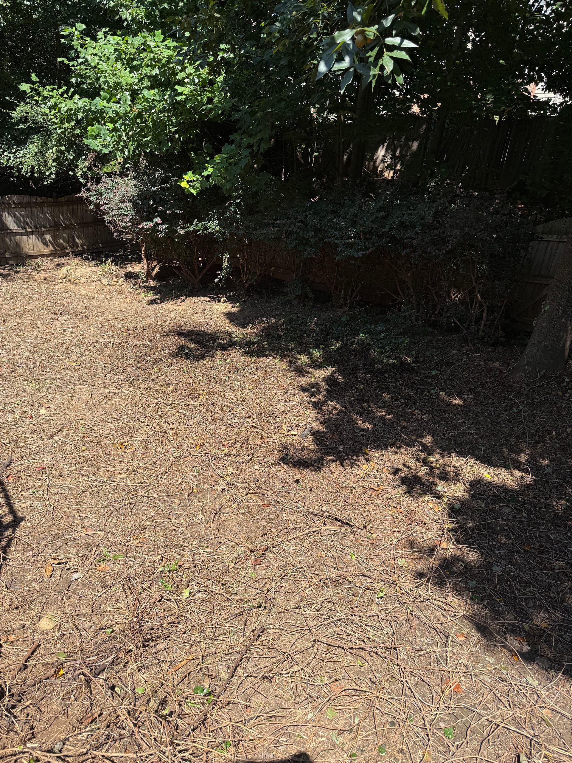 Gallery photos for Backyard Brush and Branch Cleanup in Hoschton: Image #1