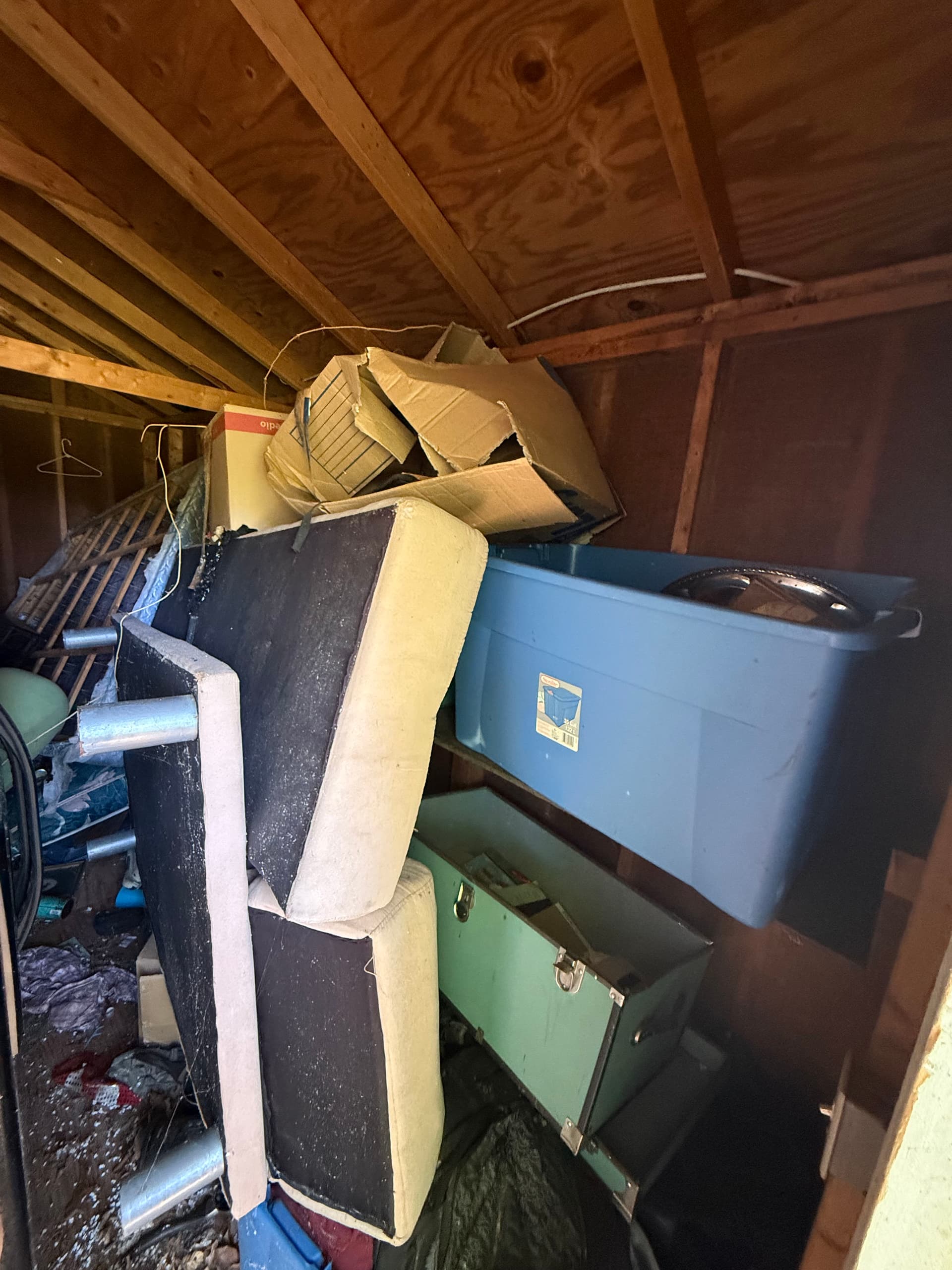 Packed Shed Cleanout Completed in Hoschton image