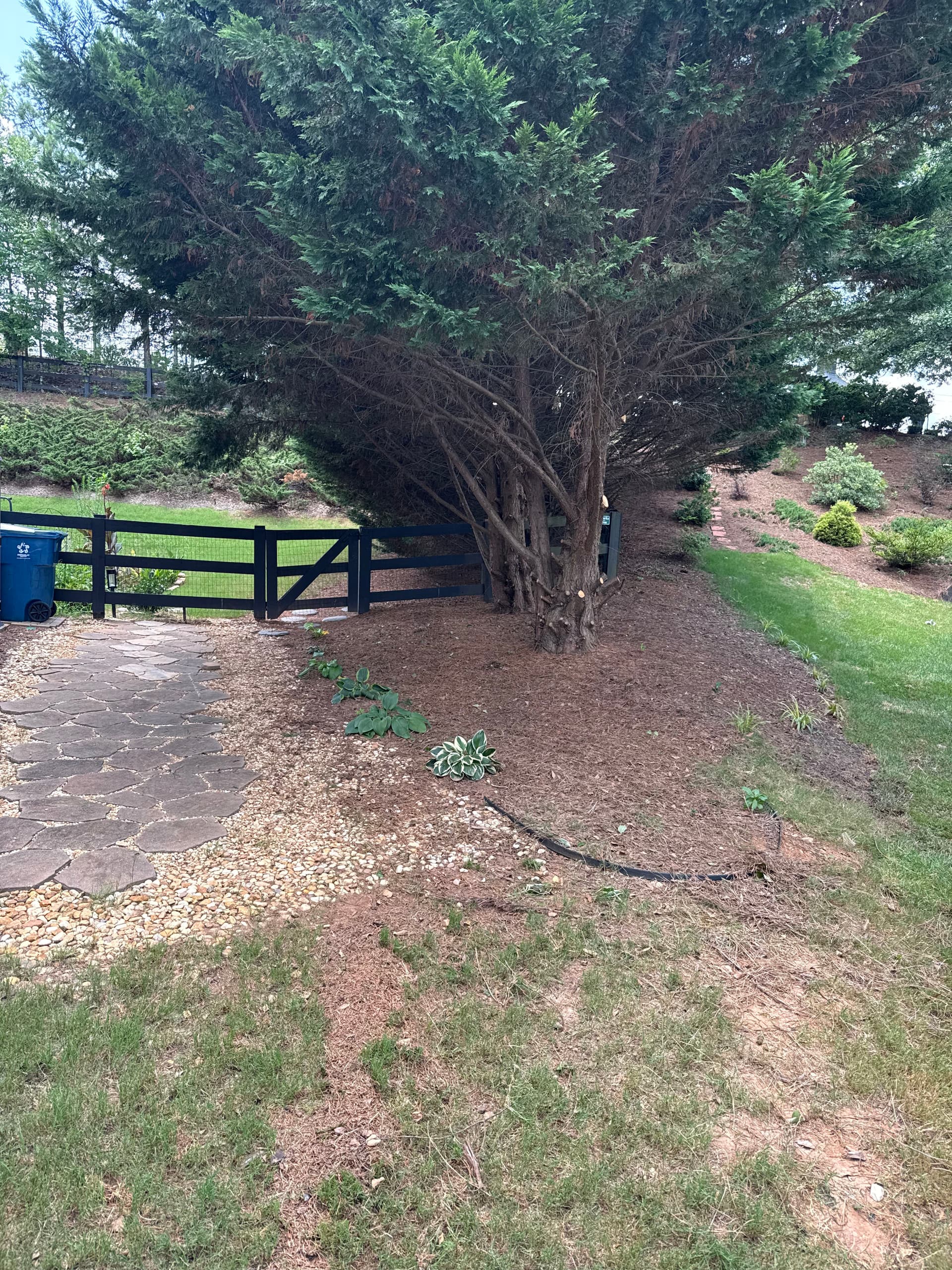 Gallery photos for Same-Day Tree Debris Pickup in Hoschton: Image #2